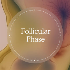 Follicular Phase 101