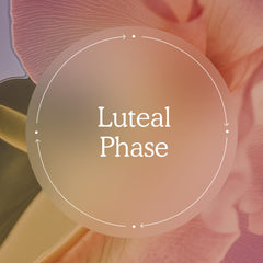 Luteal Phase 101