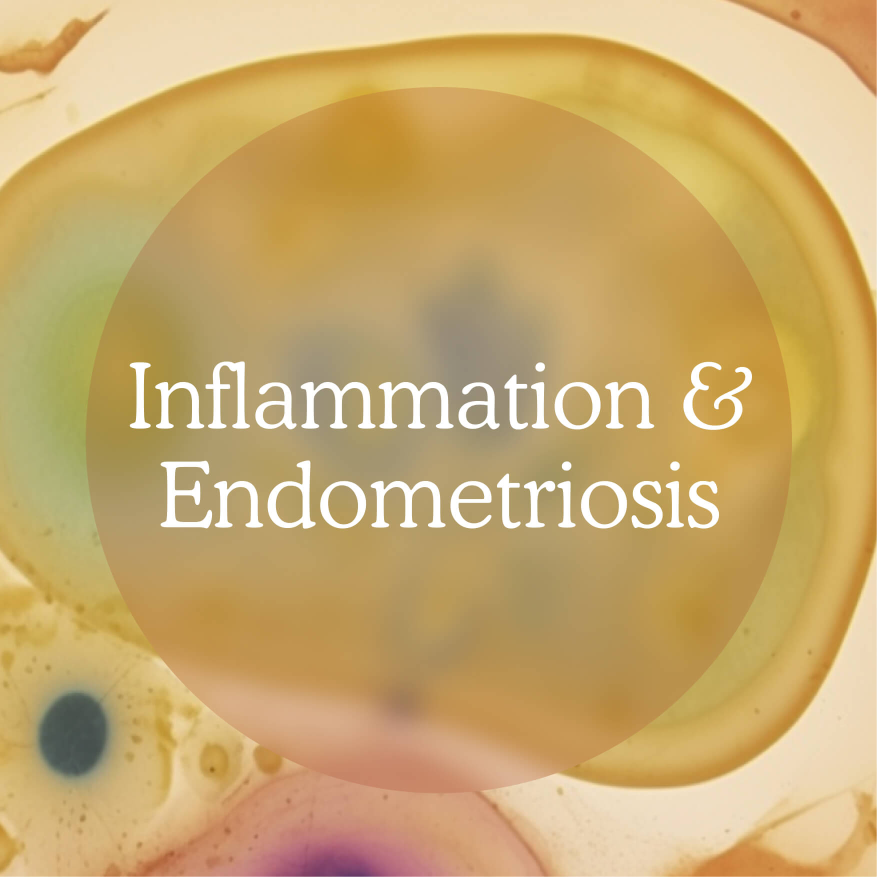 Inflammation and Endometriosis – Myoovi